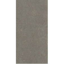 Fiandre SolidaGrey120х60(GAB700N126009)