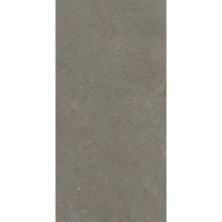 Fiandre SolidaGrey60х120(GAB700S126009)