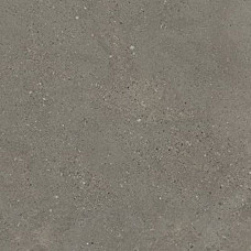 Fiandre SolidaGreySemi-lucidato9мм60х60(GAB700N606009)