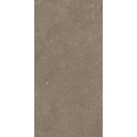 Fiandre SolidaNutSemi-lucidato9мм120х60(GAB500N126009)