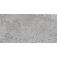 Saloni Sonata Gris 31*60