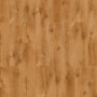 Classen Pool ML / 832-4 52594 Дуб желтый