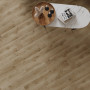 Classen WIPARQUET VILLAGE WR 67793 Лотон