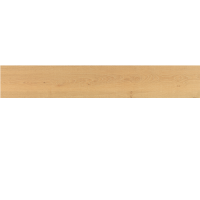 VENIS VANCOUVER HONEY(24C/P) 25X150(A)