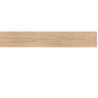 VENIS TANZANIA ALMOND(24C/P) 25X150(A)