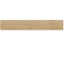 VENIS MINNESOTA CAMEL (24C/P) 25X150(A)