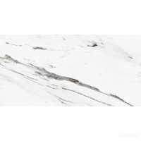 PERONDA STATUARIO PLUS/75.5X151/EP