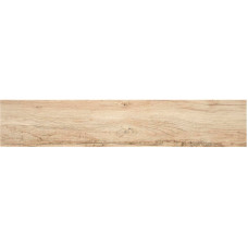 STN CERAMICA BLAZE HAYA 23х120