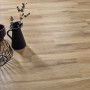 STN CERAMICA BLAZE HAYA 23х120