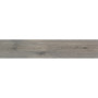 STN CERAMICA ARTICWOOD ARGENT 23х120