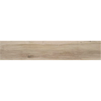 STN CERAMICA BLAZE NATURAL 23х120