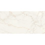 STN CERAMICA THUILE VENATO NATURAL 60х120