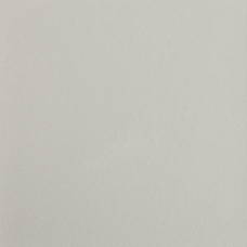 Fiandre StoneCollectionJStoneLightGrey60x60(IGM60463)
