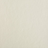 Fiandre StoneCollectionSStoneWhite60x60(IGM60322)