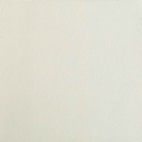 Fiandre StoneCollectionJStoneWhite60x60(IGM60464)