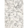 Casa Dolce Casa Stones & More 2.0 Arabescato White Matte 6 мм 120х240 Ret (756546)