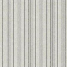 York Stripes Resource Library SR1551