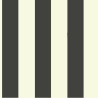 York Stripes Resource Library ST5691