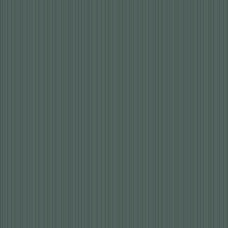 York Stripes Resource Library SR1562
