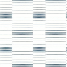 York Stripes Resource Library SR1576
