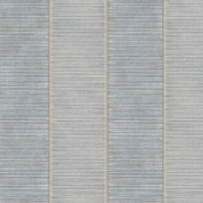 York Stripes Resource Library SR1527