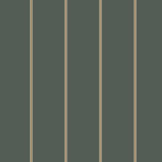 York Stripes Resource Library SR1544