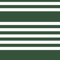 York Stripes Resource Library SR1618