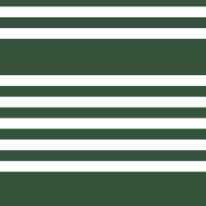 York Stripes Resource Library SR1618 York Stripes Resource Library SR1618