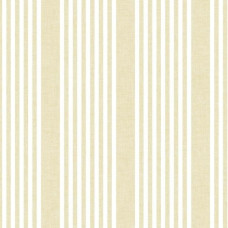 York Stripes Resource Library SR1585