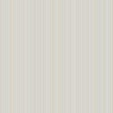 York Stripes Resource Library SR1557