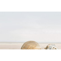 Golden Tile Summer Stone В4131