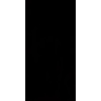 Paradyz classica SYNERGY NERO SCIANA 30X60 G1
