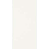 Paradyz classica SYNERGY BIANCO SCIANA 30X60 G1