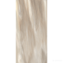 ROBERTO CAVALLI 0556718 TANDUK CONCHIGLIA LAP