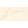 TAU CERAMICA AVORIO CREAM 60х120