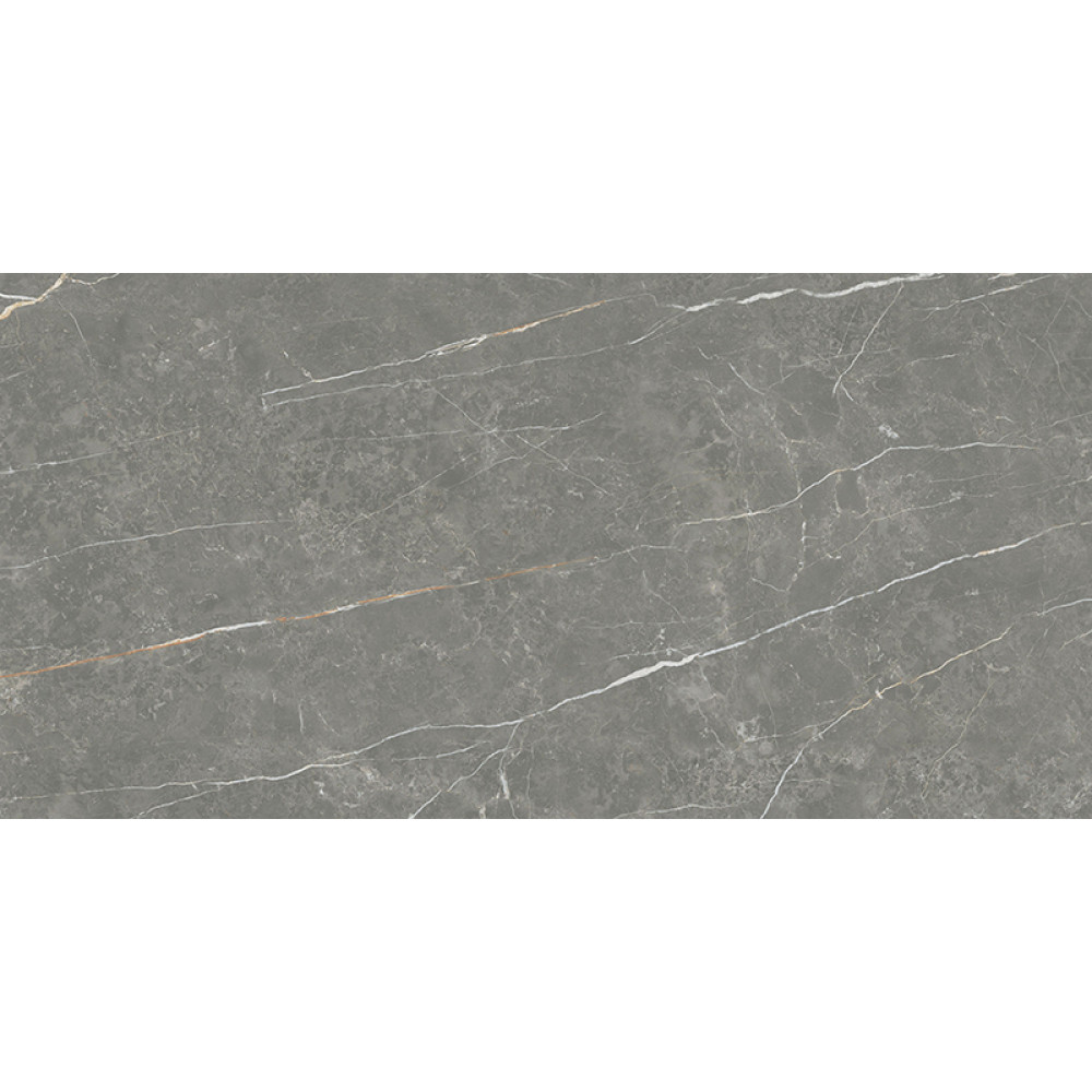 TAU CERAMICA ELITE MATT GRAPHITE 60х120