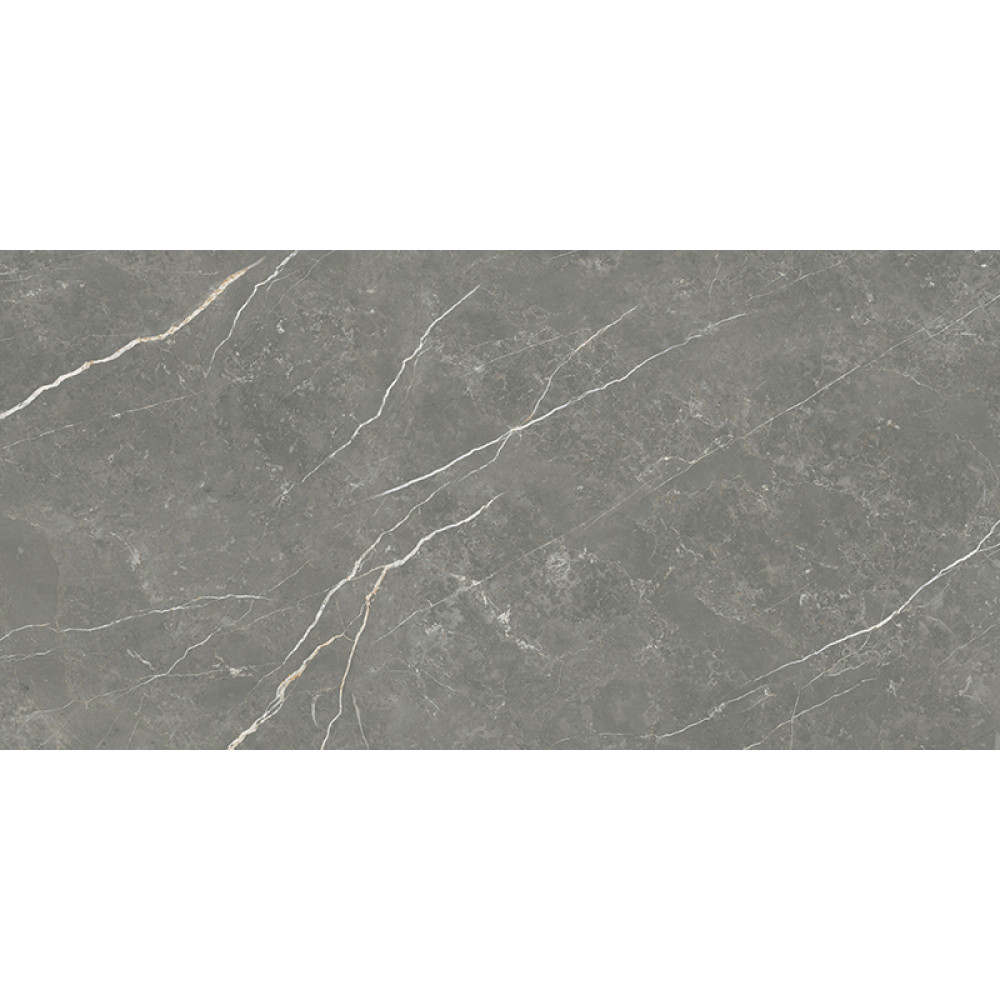TAU CERAMICA ELITE MATT GRAPHITE 60х120