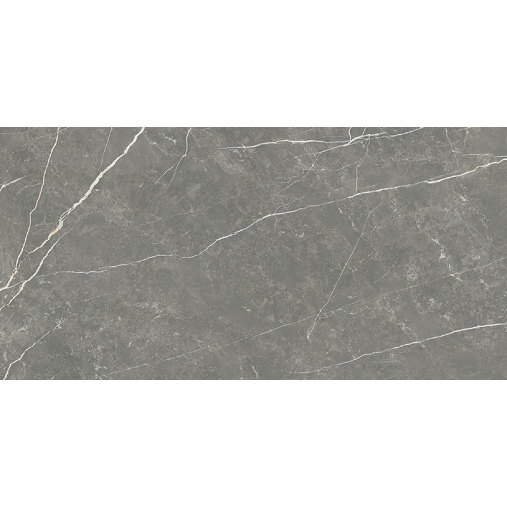 TAU CERAMICA ELITE MATT GRAPHITE 60х120
