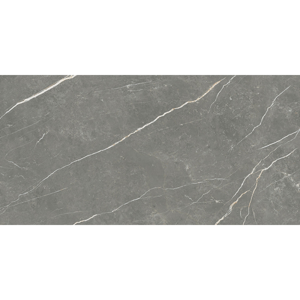 TAU CERAMICA ELITE MATT GRAPHITE 60х120