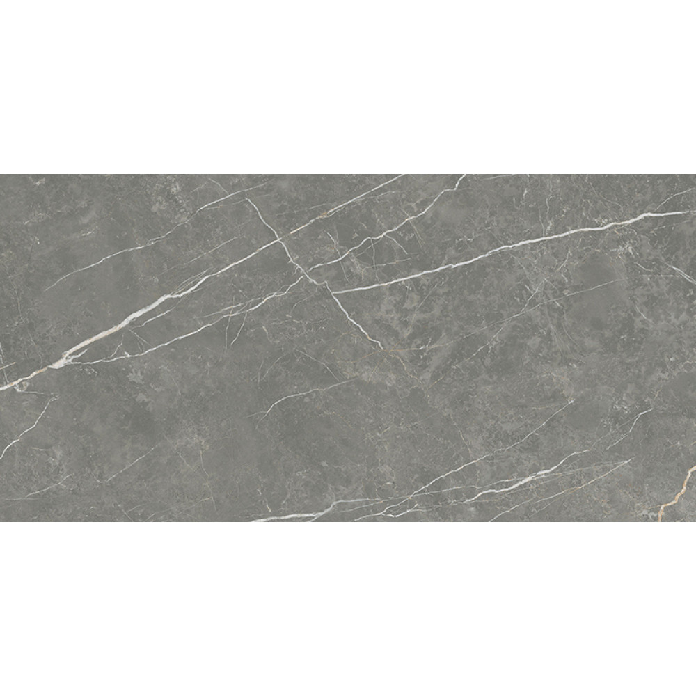 TAU CERAMICA ELITE MATT GRAPHITE 60х120
