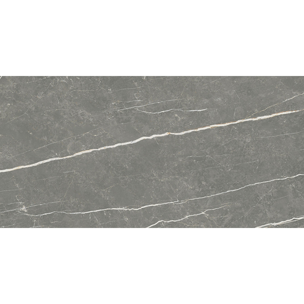 TAU CERAMICA ELITE MATT GRAPHITE 60х120