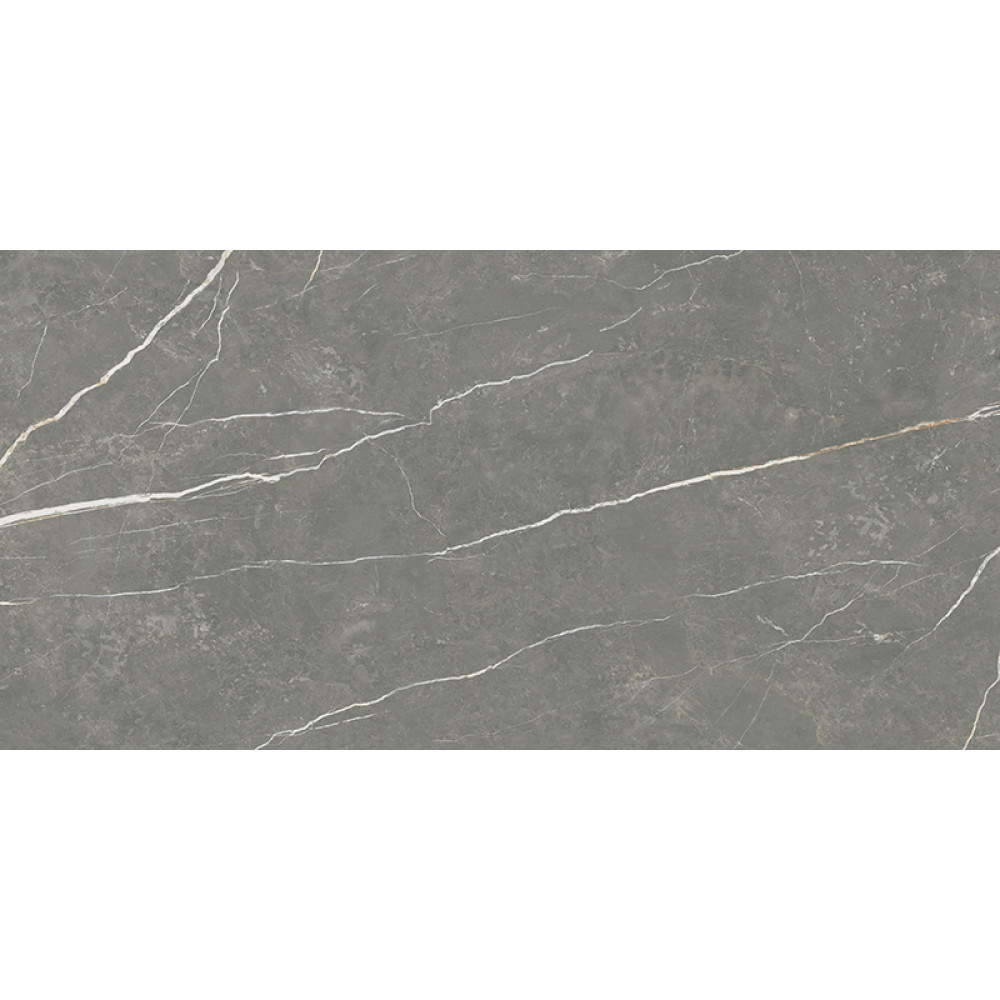 TAU CERAMICA ELITE MATT GRAPHITE 60х120
