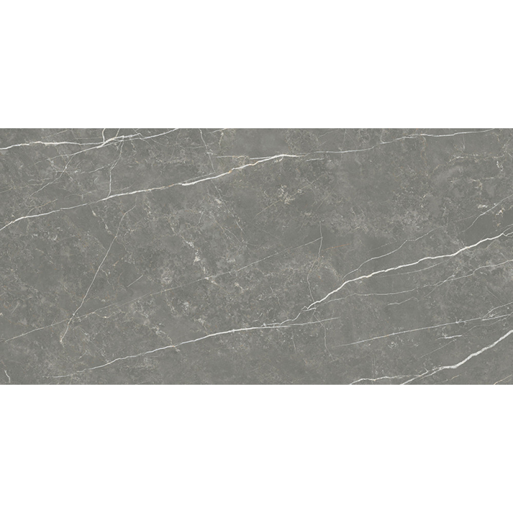 TAU CERAMICA ELITE MATT GRAPHITE 60х120