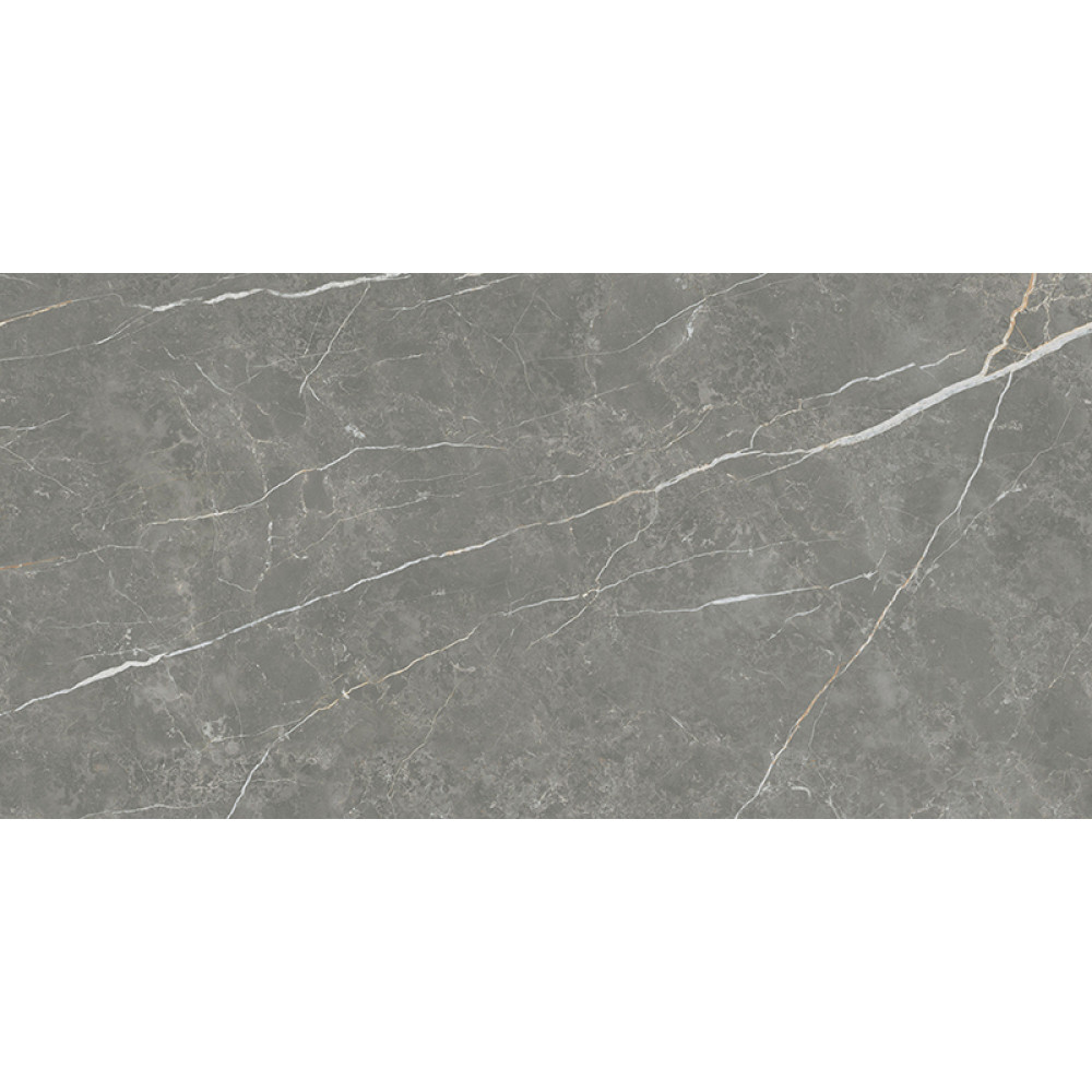TAU CERAMICA ELITE MATT GRAPHITE 60х120