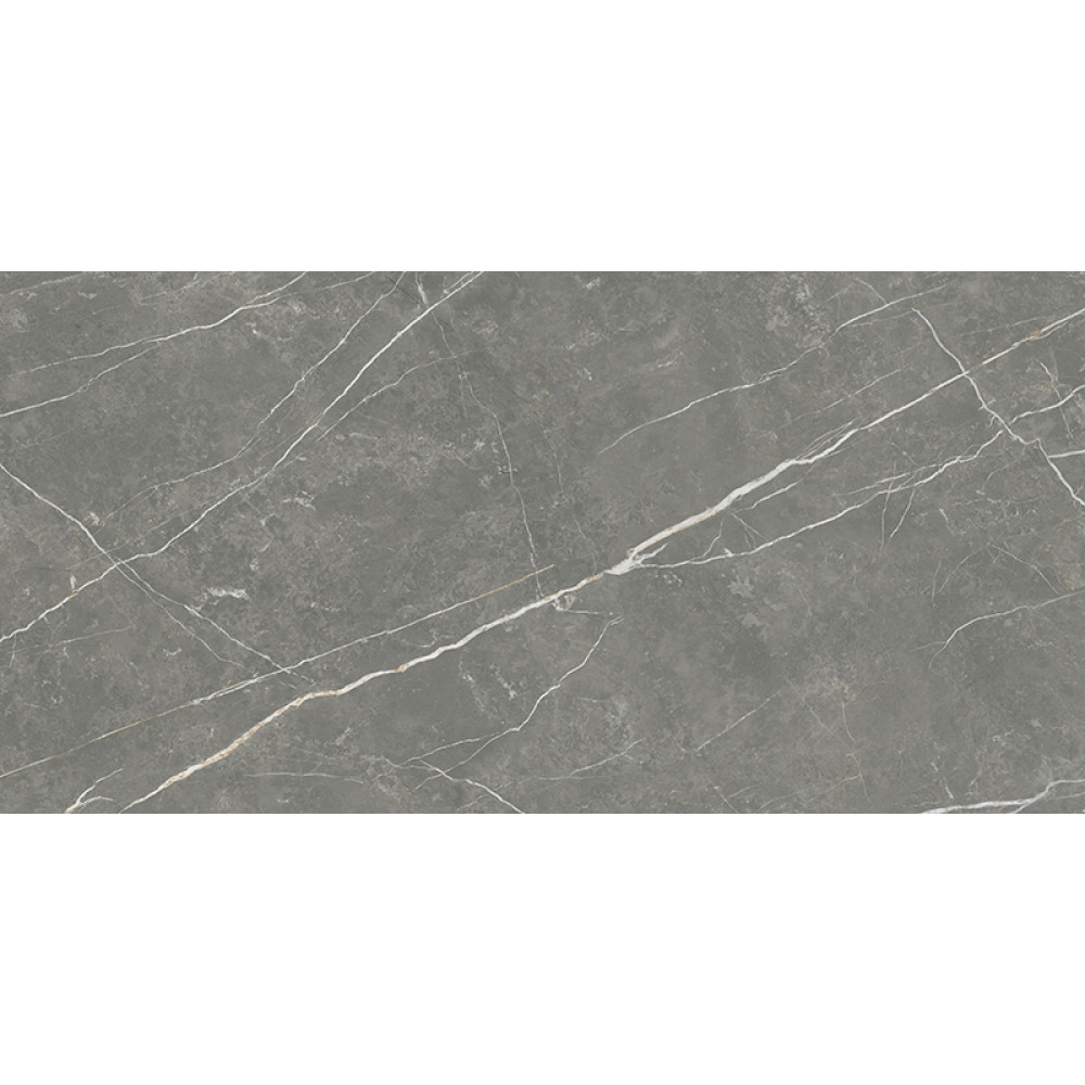 TAU CERAMICA ELITE MATT GRAPHITE 60х120