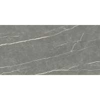 TAU CERAMICA ELITE MATT GRAPHITE 60х120