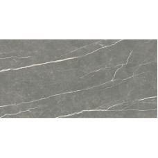 TAU CERAMICA ELITE MATT GRAPHITE 60х120
