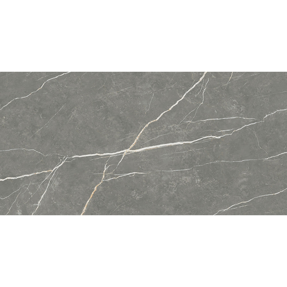 TAU CERAMICA ELITE MATT GRAPHITE 60х120