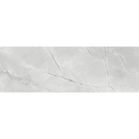 Saloni Teseo Gris Brillo 40*120
