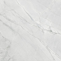 Saloni Teseo Gris Lappato 75*75